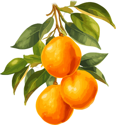 卡通风格黄橙子树枝PNG素材