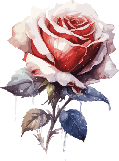 一支玫瑰花插画设计元素