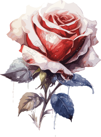 一支玫瑰花插画设计元素