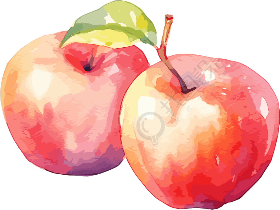 两个色彩丰富的水彩苹果插图素材