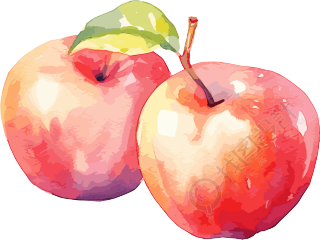 两个色彩丰富的水彩苹果插图素材