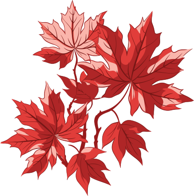 红枫叶秋天风景插画设计元素