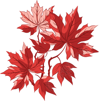 红枫叶秋天风景插画设计元素