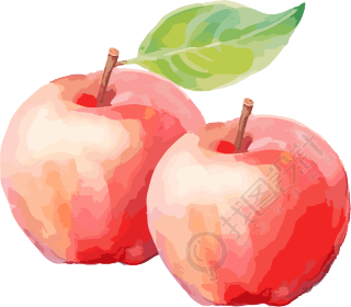 两个色彩缤纷的水彩苹果插图素材
