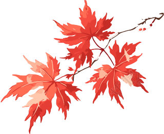 秋天红枫叶插画素材