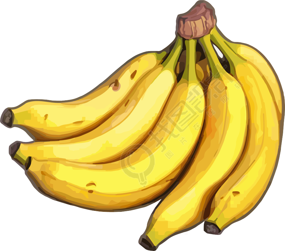 透明背景香蕉插画设计元素