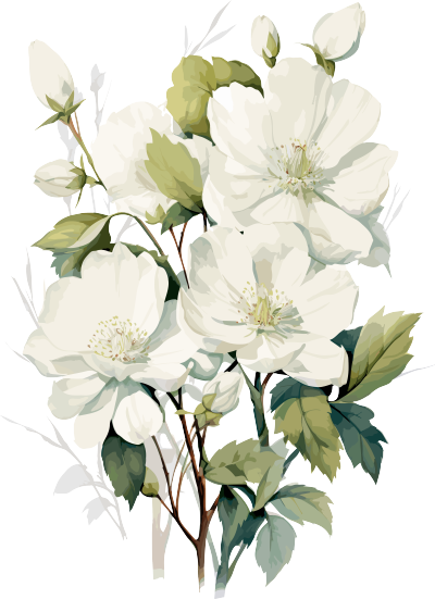 唯美白色花朵设计元素