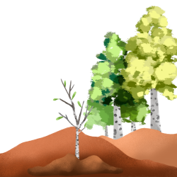 植树造林手绘山坡上的大树插画