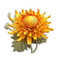 可爱黄色菊花3D卡通图案插画