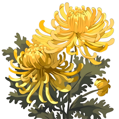 黄色和金色风格的菊花PNG素材