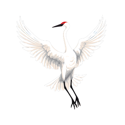 白色展翅的飞鹤插画设计元素