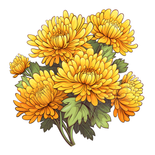 一大束黄色菊花与绿叶的插图