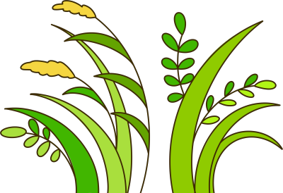 手绘粗线条植物草丛商用插图