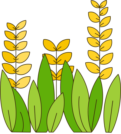 童趣风手绘麦子粮食透明背景插画