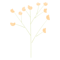 简约花朵枝干装饰插画