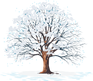 落雪的大树冬天创意插图