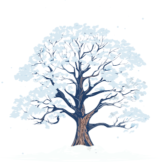 透明背景冬季大树插画
