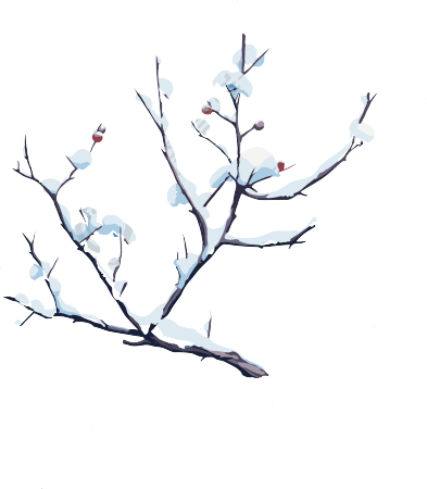 树枝和积雪透明背景素材