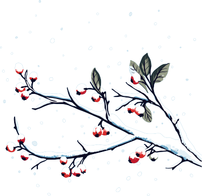 冬季元素雪中红浆果插画
