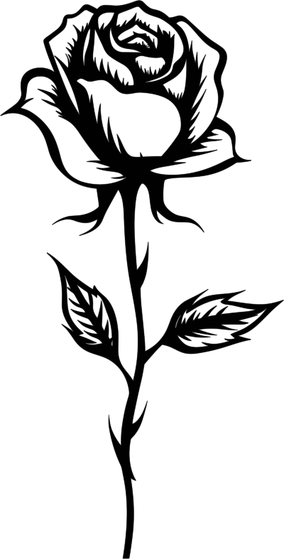 可商用黑白线描玫瑰花素材
