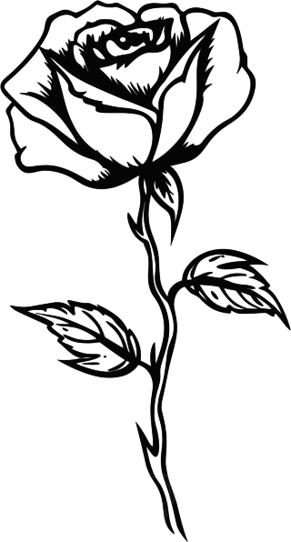 单支玫瑰花黑白手绘线描素材