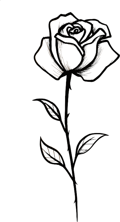 黑白手绘单支玫瑰花商用插画