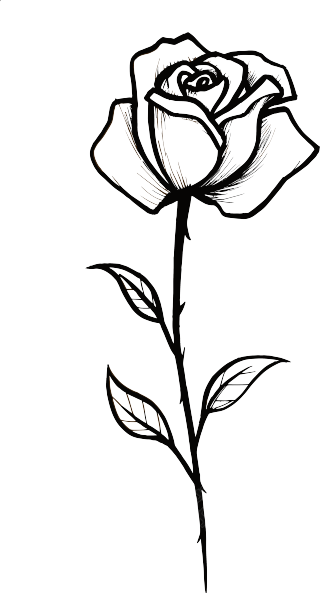 黑白手绘单支玫瑰花商用插画