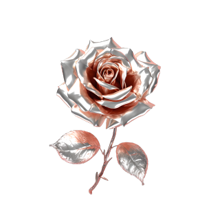 金属风格玫瑰花高清图形元素