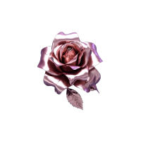 金属镀铬精美玫瑰花素材