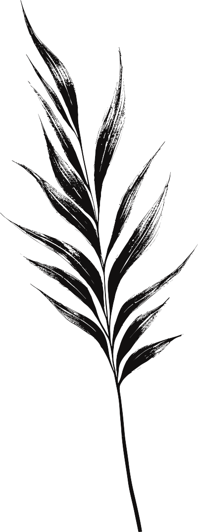 黑白手绘线条叶子插图