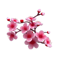 白色底面柔和照明梅花枝插画