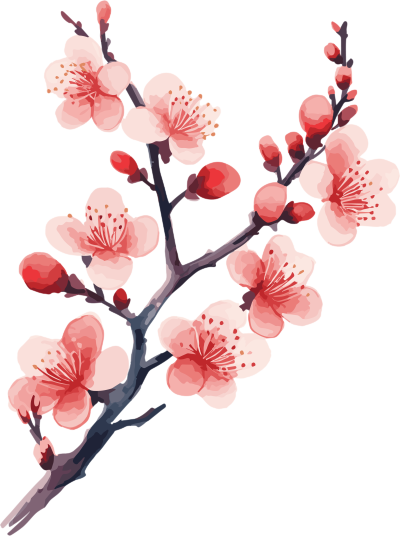 可商用冬天梅花扁平插画设计