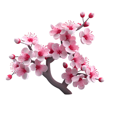 柔和粉彩3D梅花枝PNG图元素素材