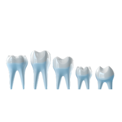 五个白色牙齿模型透明背景插图