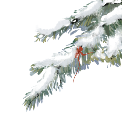 今日大雪被雪覆盖的松枝手绘插画