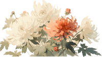 传统工笔画牡丹花唯美插画