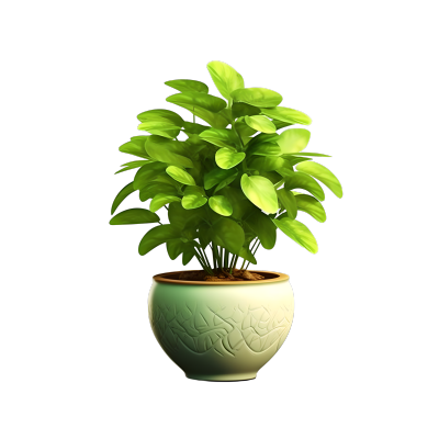 3D植物可商用插画