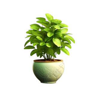 3D植物可商用插画