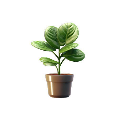 植物3D模型PNG图形素材