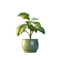 3D植物透明背景插图