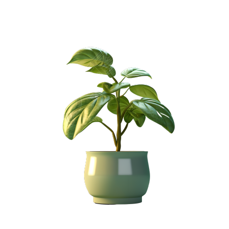 3D植物透明背景插图