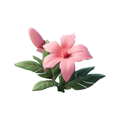 3D植物粉色花朵素材