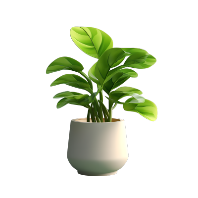 植物3D模型透明背景插图