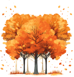 秋天的大树插画素材