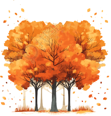 秋天的大树插画素材