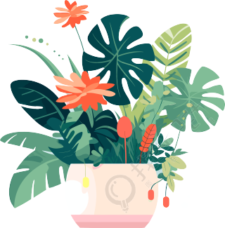 植物收藏风格的插画设计
