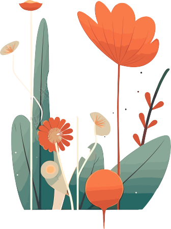 花卉素材图包PNG透明背景
