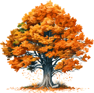 秋天的大树手绘插画