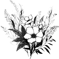 绿色植物叶花黑线插图