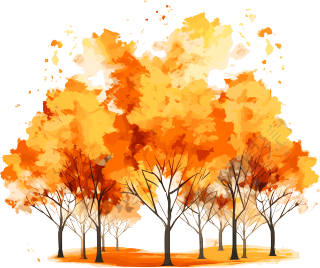 秋天白底橙色手绘大树叶插画设计素材